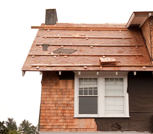 Affordable Siding Repair and Maintenance Services in Wheaton, IL